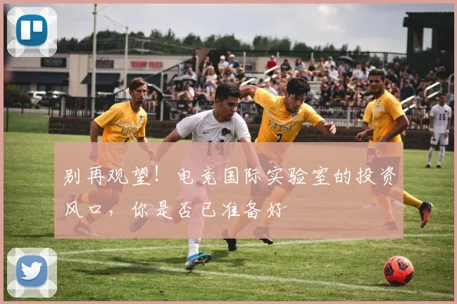 别再观望！电竞国际实验室的投资风口，你是否已准备好