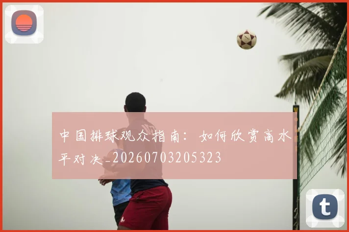 中国排球观众指南：如何欣赏高水平对决_20260703205323