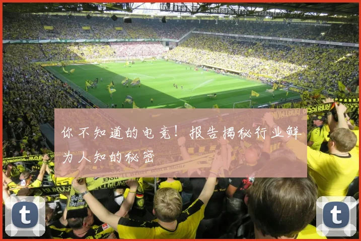 你不知道的电竞!报告揭秘行业鲜为人知的秘密