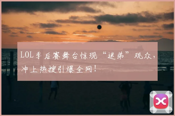 LOL季后赛舞台惊现“迷弟”观众，冲上热搜引爆全网！