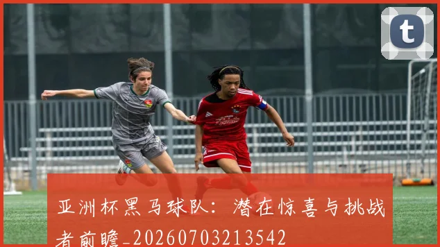 亚洲杯黑马球队：潜在惊喜与挑战者前瞻_20260703213542